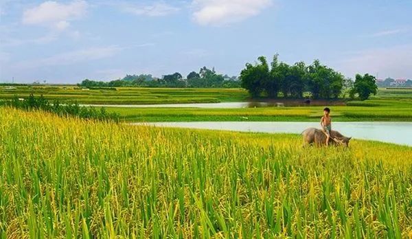 Hình ảnh minh họa 1