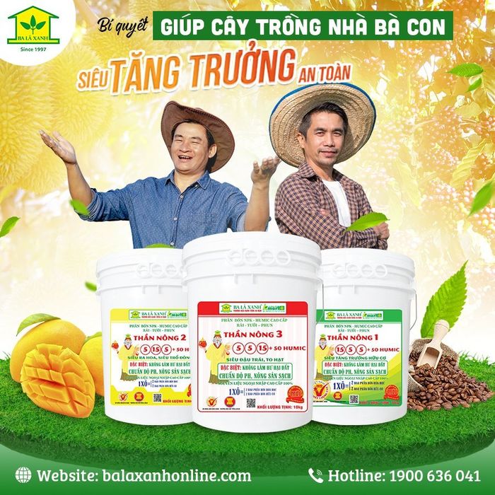 Hình ảnh ứng dụng phân bón Ba Lá Xanh trên các loại cây trồng