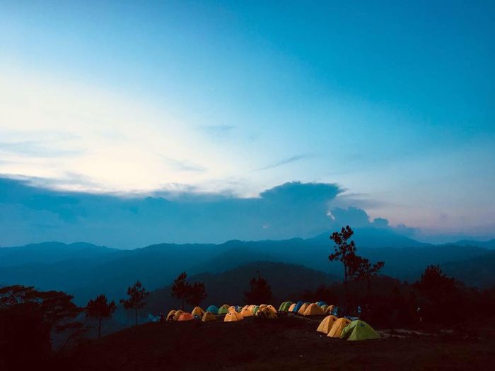 Homestay Biển Rừng - Ảnh 3