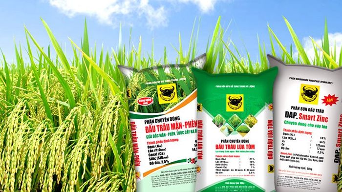 Hình ảnh minh họa hoạt động sản xuất của Công Ty CP Phân Bón Bình Điền