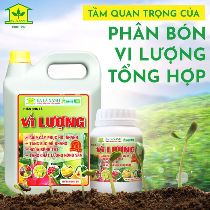 Bộ sưu tập sản phẩm phân bón hữu cơ chất lượng cao của Ba Lá Xanh