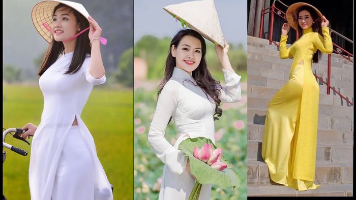 Ảnh minh họa (Nguồn internet) hình 1
