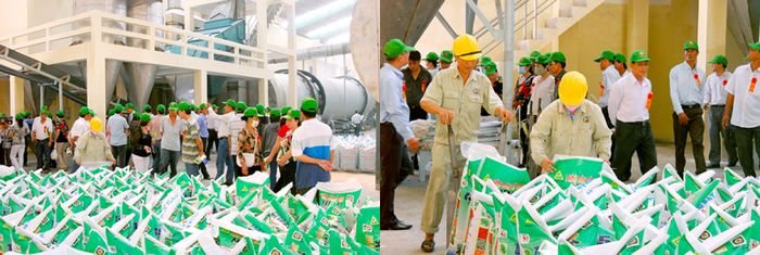 Bộ sưu tập sản phẩm phân bón chất lượng cao của CFC