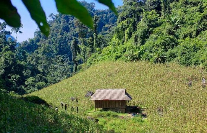 Ngũ Động Bản Ôn ảnh 2