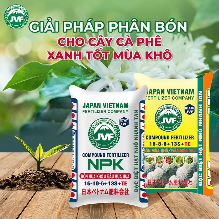 Hình ảnh nhà máy sản xuất hiện đại đạt chuẩn Nhật Bản của JVF