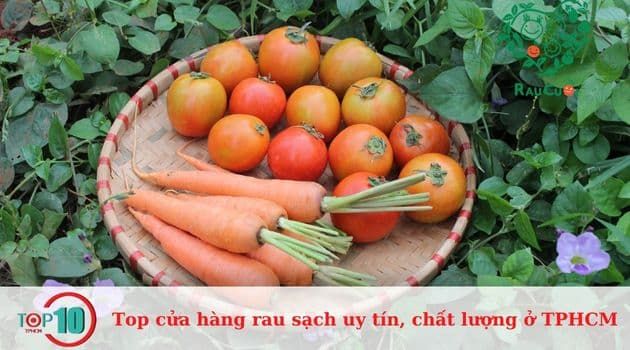 Rau Cười Việt Nhật
