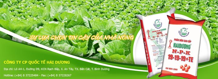 Hình ảnh sản phẩm phân bón chất lượng cao của Hải Dương