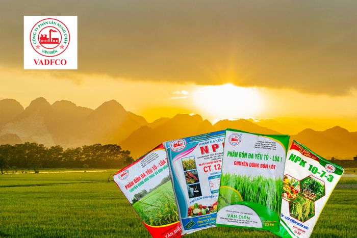 Hình ảnh nhà máy sản xuất phân lân nung chảy hiện đại tại Văn Điển