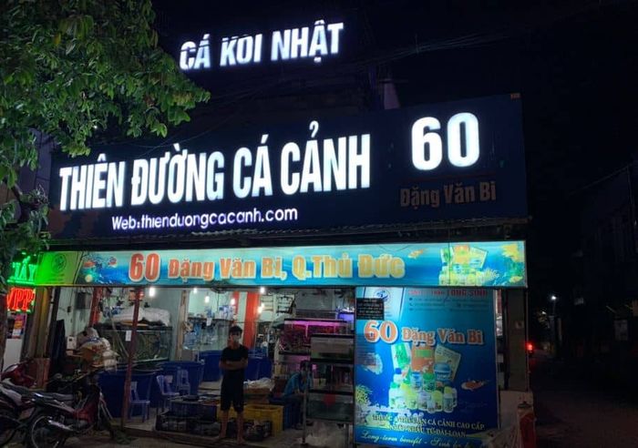 Thiên Đường Cá Cảnh là điểm đến lý tưởng cho những ai yêu thích vẻ đẹp của các loài cá, nơi cung cấp các loại cá phong phú, từ cá nước ngọt đến cá biển, tất cả đều được tuyển chọn cẩn thận.