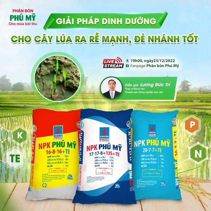 Hình ảnh dây chuyền sản xuất phân đạm hiện đại tại Phú Mỹ