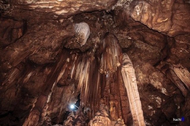 Ngũ Động Bản Ôn ảnh 1