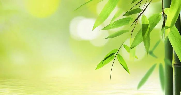 Hình ảnh minh họa sống động về làng quê Việt với lũy tre xanh (Nguồn: Sưu tầm)