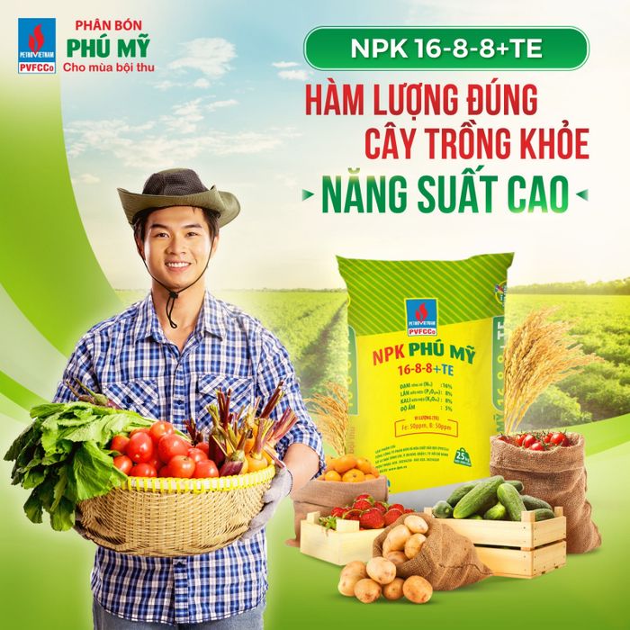 Hình ảnh nhà máy sản xuất phân đạm hiện đại của PVFCCo