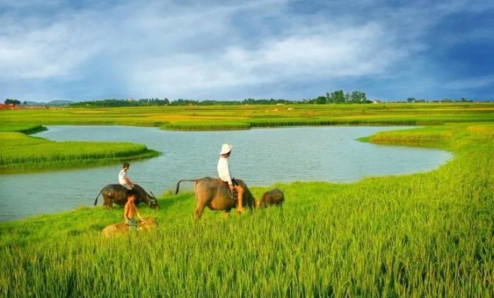 Hình ảnh minh họa 1