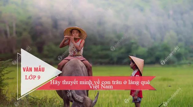Ảnh minh hoạ ảnh 1