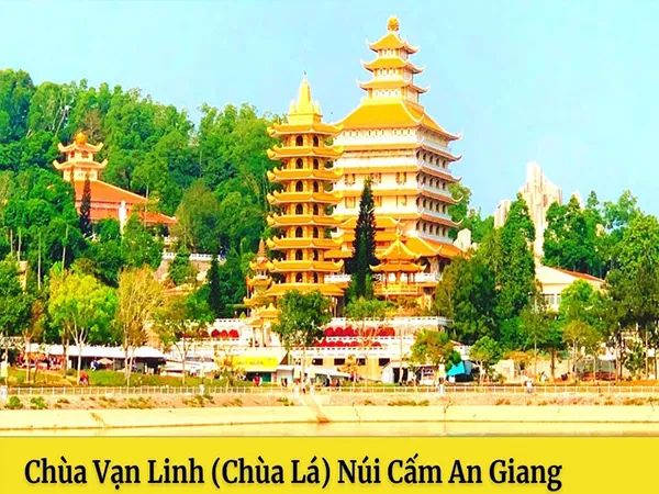 Lâm Viên Núi Cấm - Bức tranh thiên nhiên hùng vĩ
