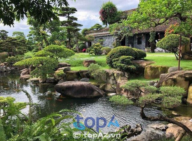 Đơn vị cung cấp dịch vụ cây xanh chất lượng cao tại Thủ đô