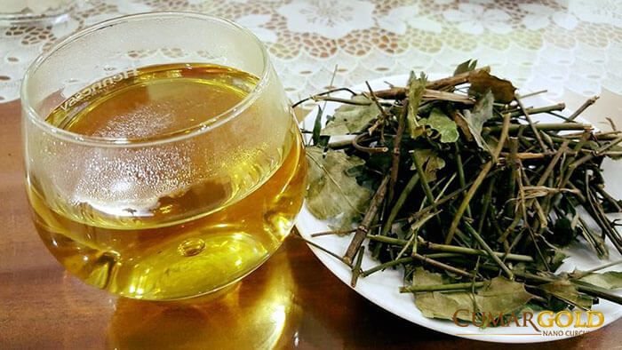 Bộ sưu tập hình ảnh Chè Vằng - Từ cây thuốc dân gian đến thức uống đắt giá