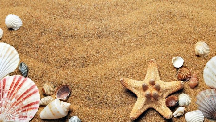Mẫu slide mùa hè sinh động, giàu năng lượng