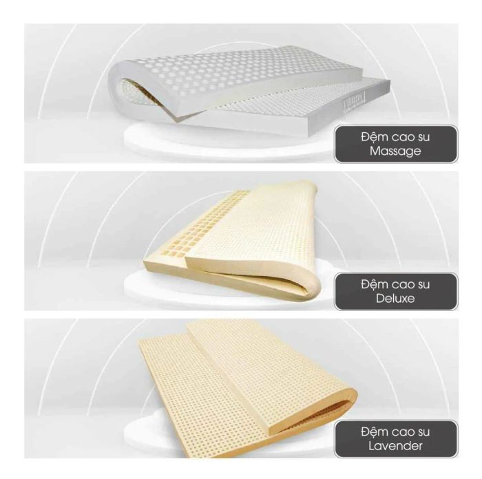 Hình ảnh bộ sưu tập Everhome (2)