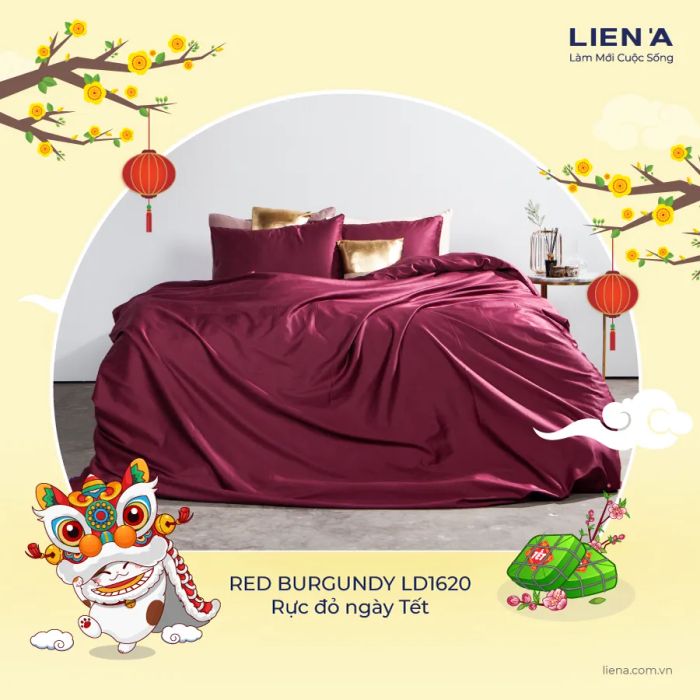 Hình ảnh bộ sưu tập Liên Á (2)