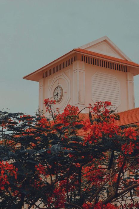 Hình ảnh khuôn viên Trường THPT Hậu Nghĩa