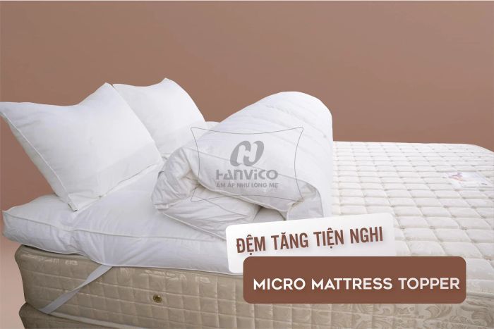 Hình ảnh bộ sưu tập Hanvico (2)