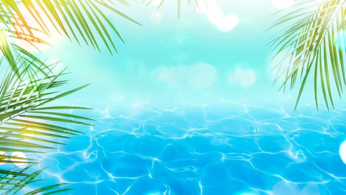 Background trình chiếu mùa hè với hình ảnh cây dừa nhiệt đới sinh động