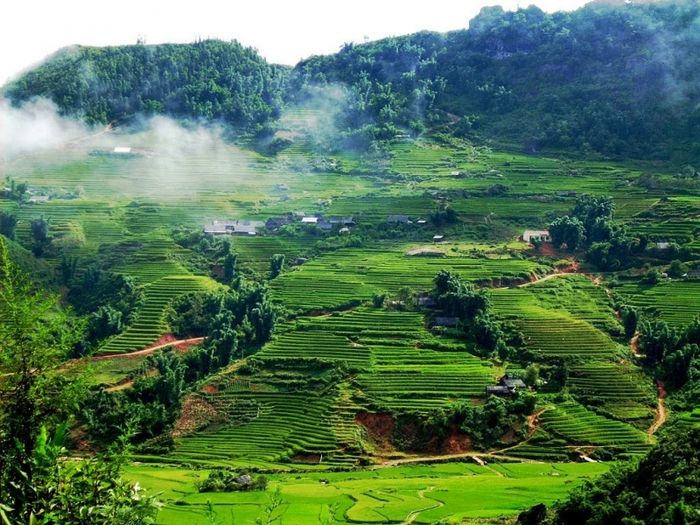 Bộ sưu tập hình ảnh Chè Thanh Bình - Từ nương chè đến thành phẩm thượng hạng