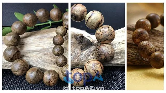 Tâm Thuần - Gìn giữ hương trời đất Việt