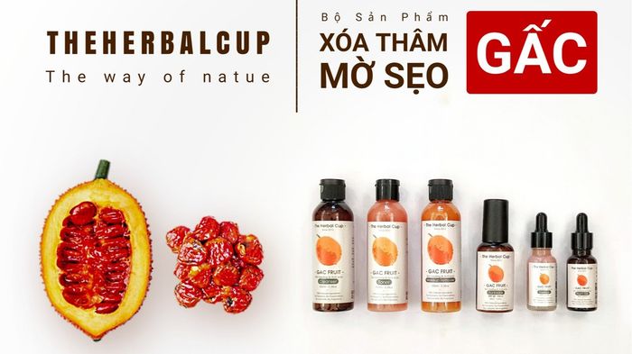 Không gian trải nghiệm The Herbal Cup - Sống xanh cùng thiên nhiên