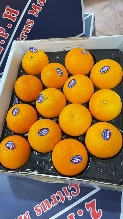 Bộ sưu tập trái cây nhập khẩu đa dạng tại DP Fruits
