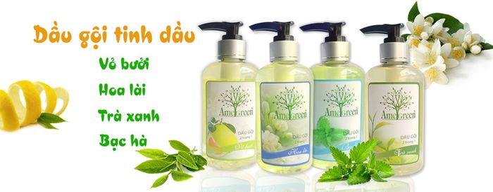 Bộ sưu tập tinh dầu AmeGreen - Thuần khiết từ thiên nhiên