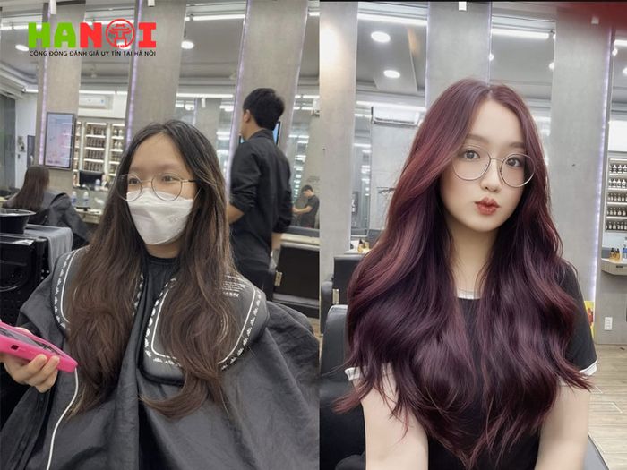 top-hair-Tripi