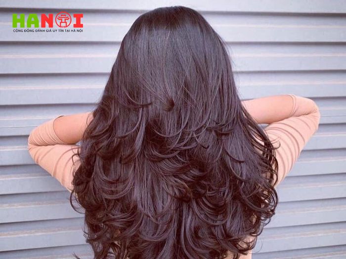 nhat-tam-hair-salon-dia-chi-nhuom-toc-dep-o-ha-noi-dang-de-thu-Tripi
