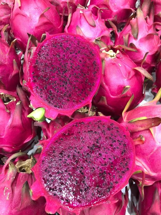 Hình ảnh trái cây tươi ngon tại Ngôi Nhà Organic BG