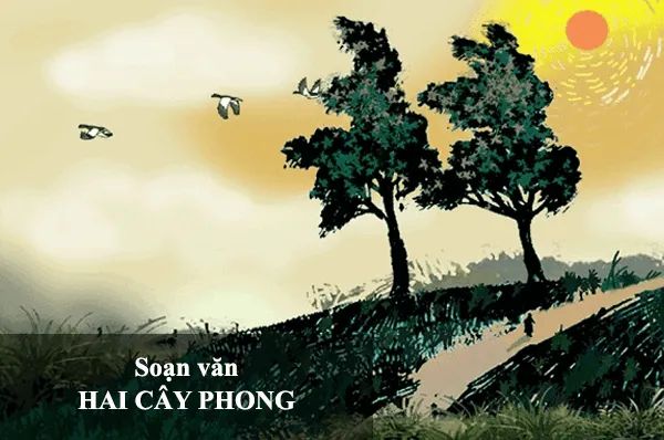 Tác phẩm minh họa số 1 - Nguồn ảnh phong phú từ internet