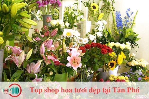 Hoa Của Tui - Thiên đường hoa tươi giữa lòng Tân Phú