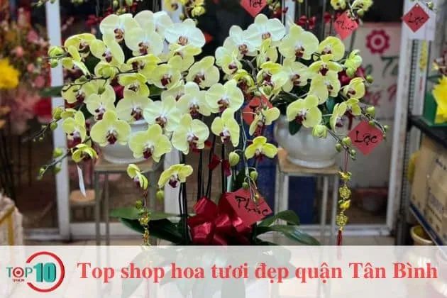 Shop hoa tươi SG - Trao gửi yêu thương qua từng đóa hoa