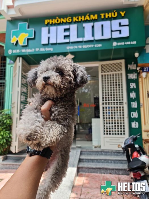 Cơ sở vật chất hiện đại tại Bệnh viện Thú Y Helios