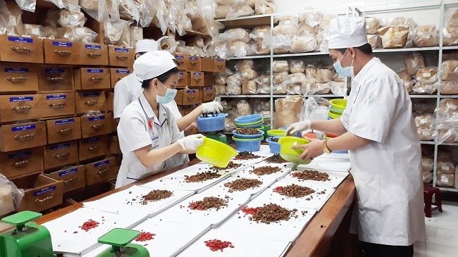 Viện Y Dược Học Dân Tộc TP.HCM - Bảo tồn và phát huy tinh hoa y học dân tộc