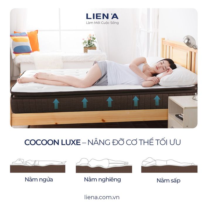 Hình ảnh showroom Liên Á