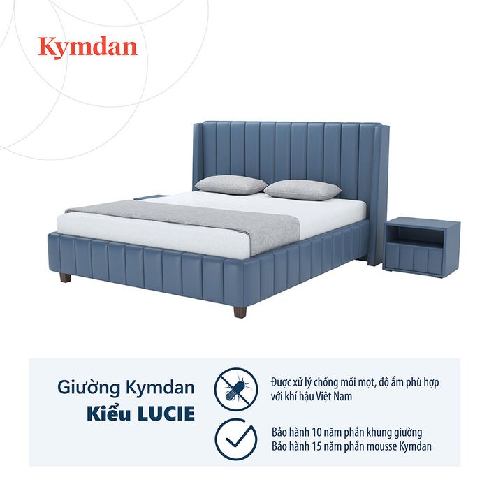 Bộ sưu tập nệm cao su thiên nhiên đa dạng tại Kymdan