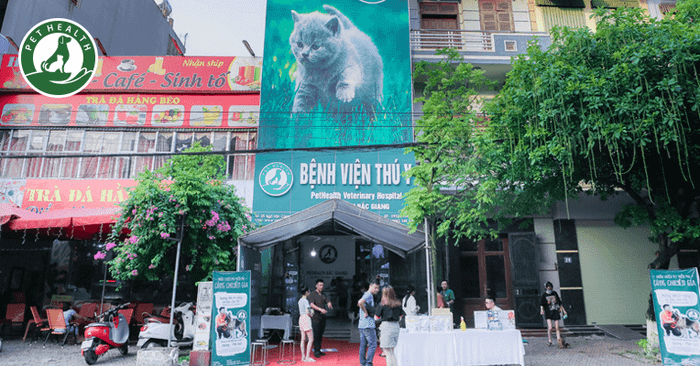 Cơ sở vật chất hiện đại tại Bệnh viện PetHealth Bắc Giang