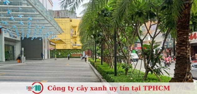 NIS Landscape - Chuyên Gia Cảnh Quan Xanh