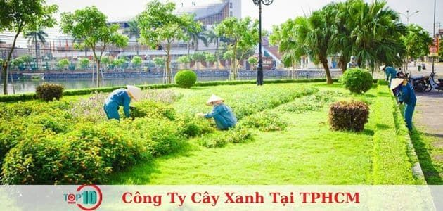 LASC - Kiến Tạo Cảnh Quan Xanh
