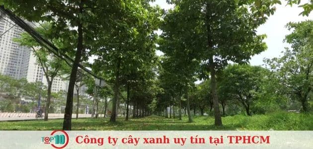 Đại Phúc - Kiến Tạo Màu Xanh Đô Thị