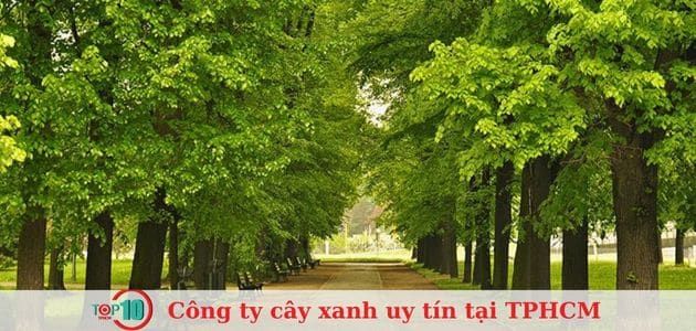 Gia Nguyễn - Kiến Tạo Không Gian Xanh