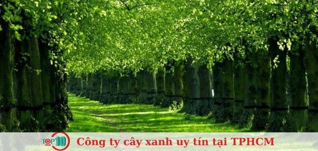 Hoàng Nguyên - Kiến Tạo Màu Xanh Bền Vững