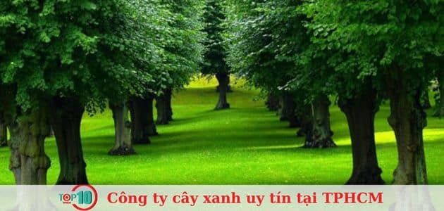 An Phú - Kiến Tạo Không Gian Xanh